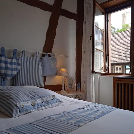 Appartements & Chambres Les Loges Du Capucin Kaysersberg-Vignoble Luaran gambar