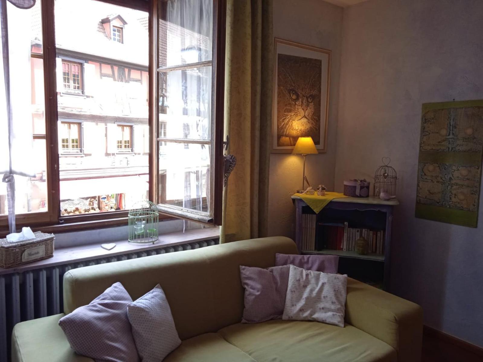 Appartements & Chambres Les Loges Du Capucin Kaysersberg-Vignoble Luaran gambar