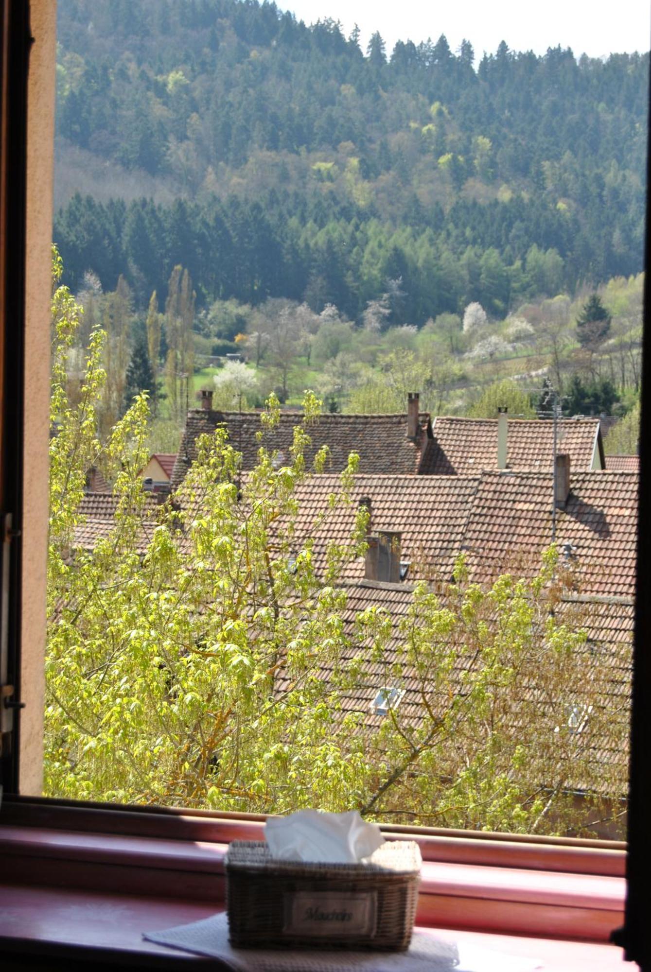 Appartements & Chambres Les Loges Du Capucin Kaysersberg-Vignoble Luaran gambar