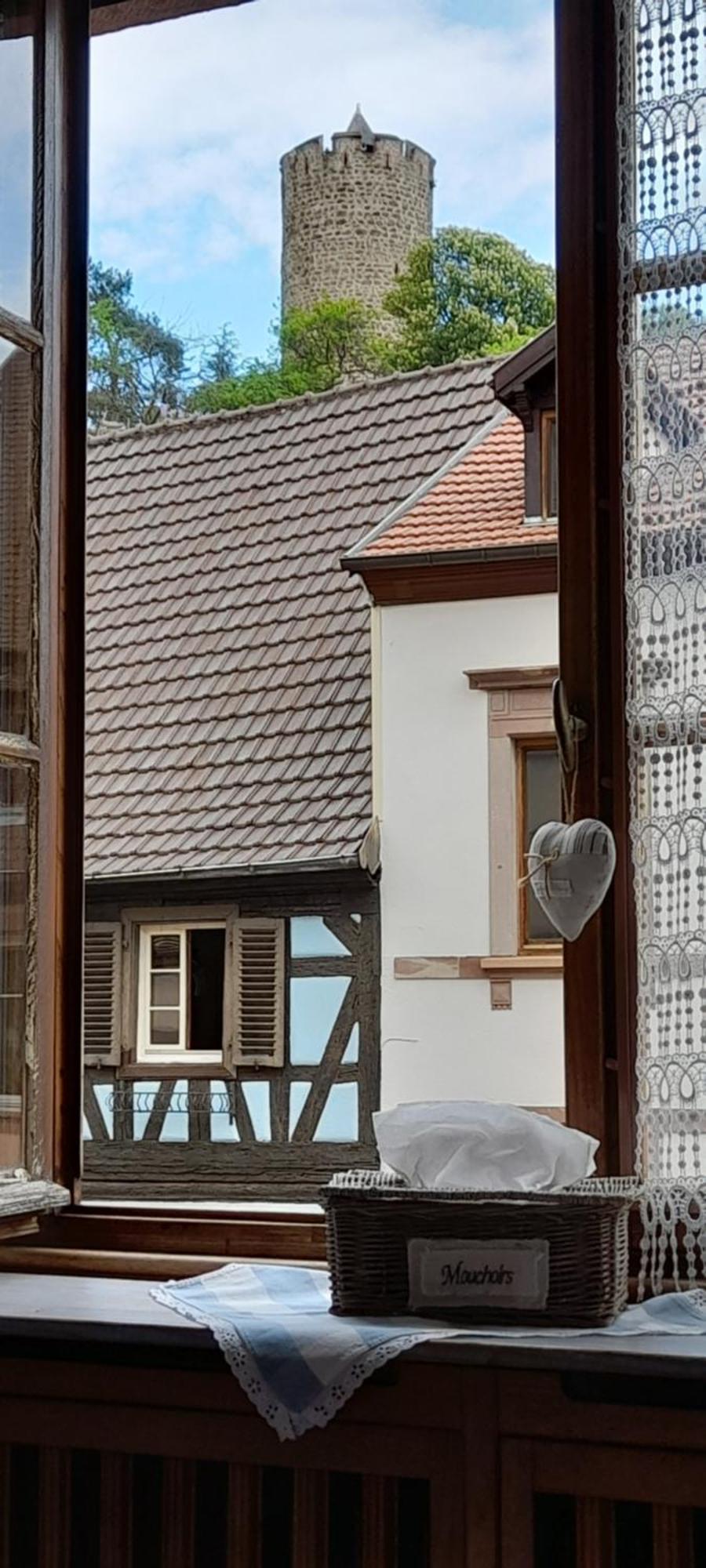 Appartements & Chambres Les Loges Du Capucin Kaysersberg-Vignoble Luaran gambar